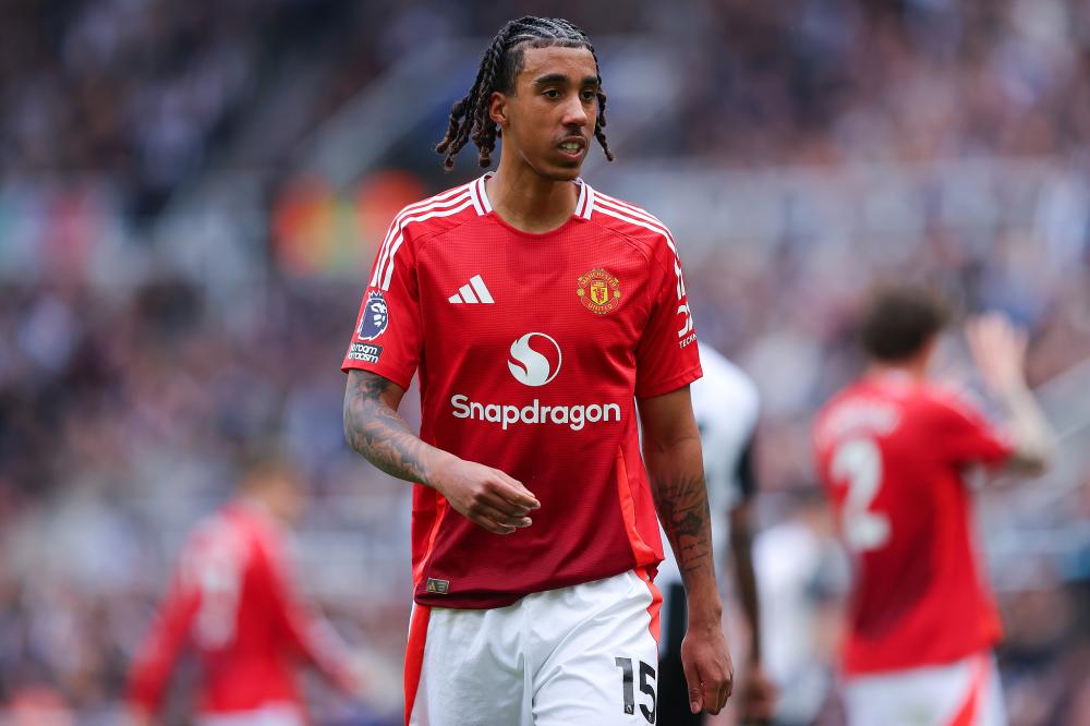 哈蘭德等核 哈蘭德等核